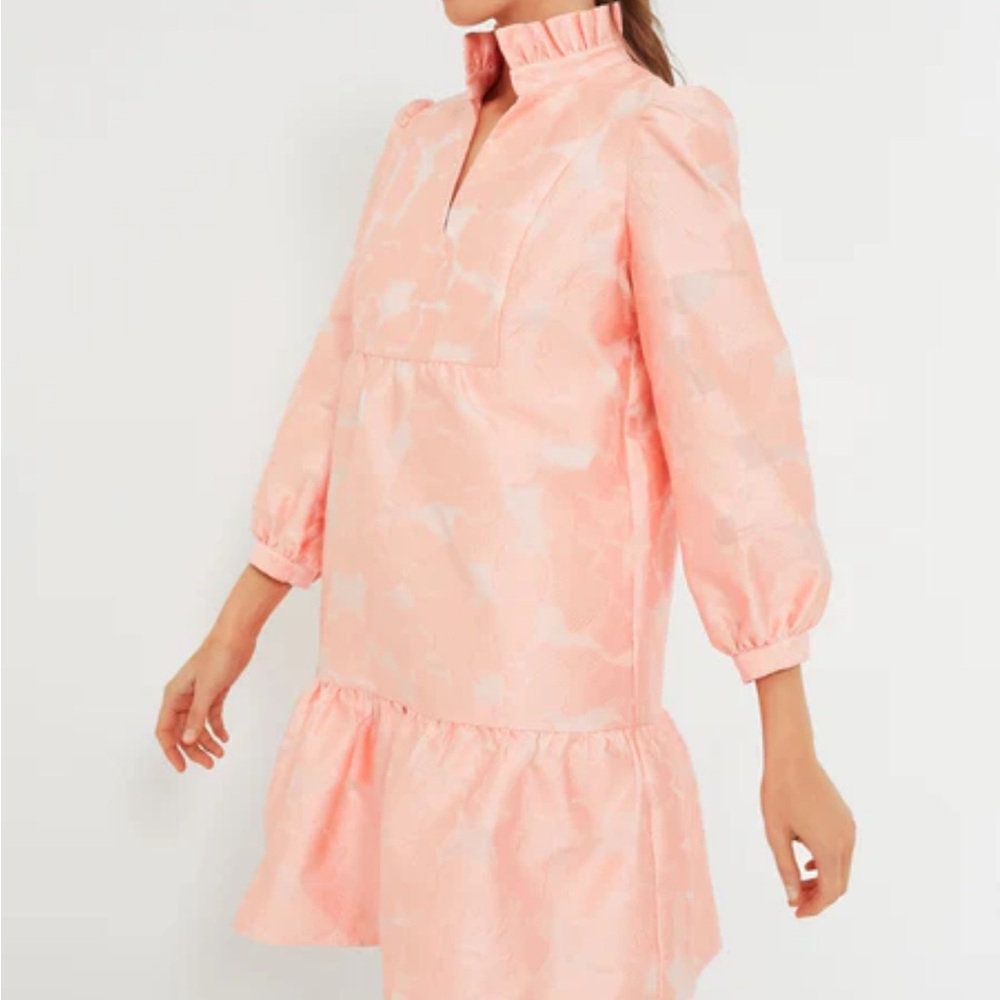 Tuckernuck Pink Ruffle Dress